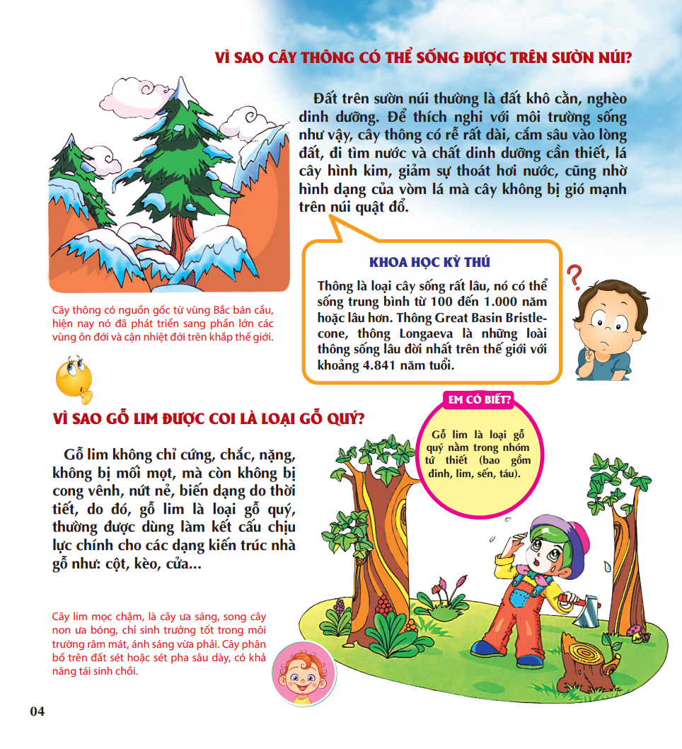 vì sao các loài hoa lại có mùi hương - Ảnh 8