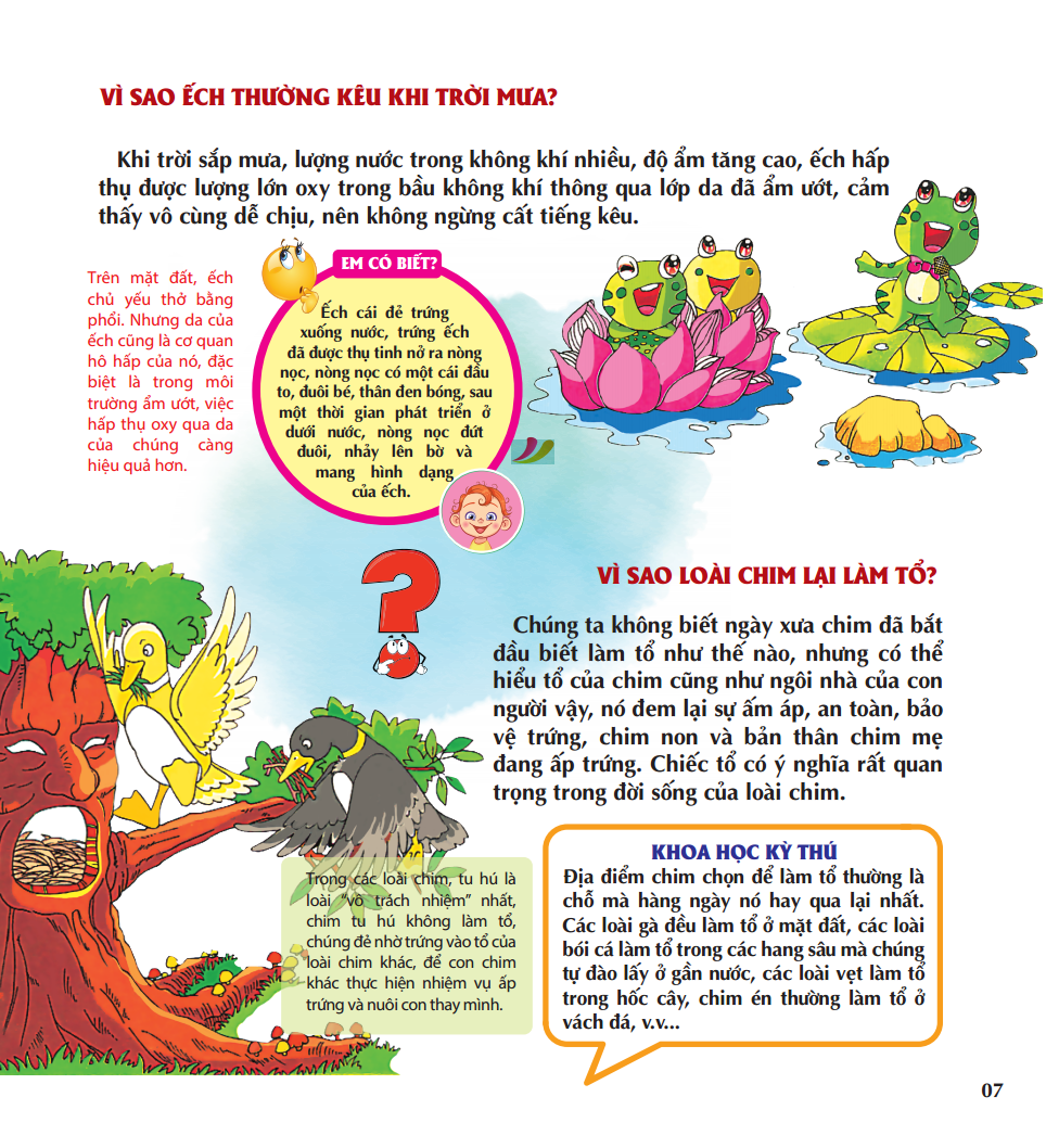 vì sao chim lại làm tổ - Ảnh 10