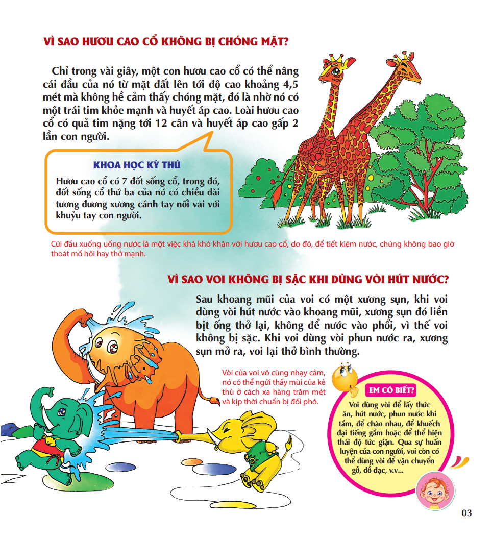 vì sao chim lại làm tổ - Ảnh 6