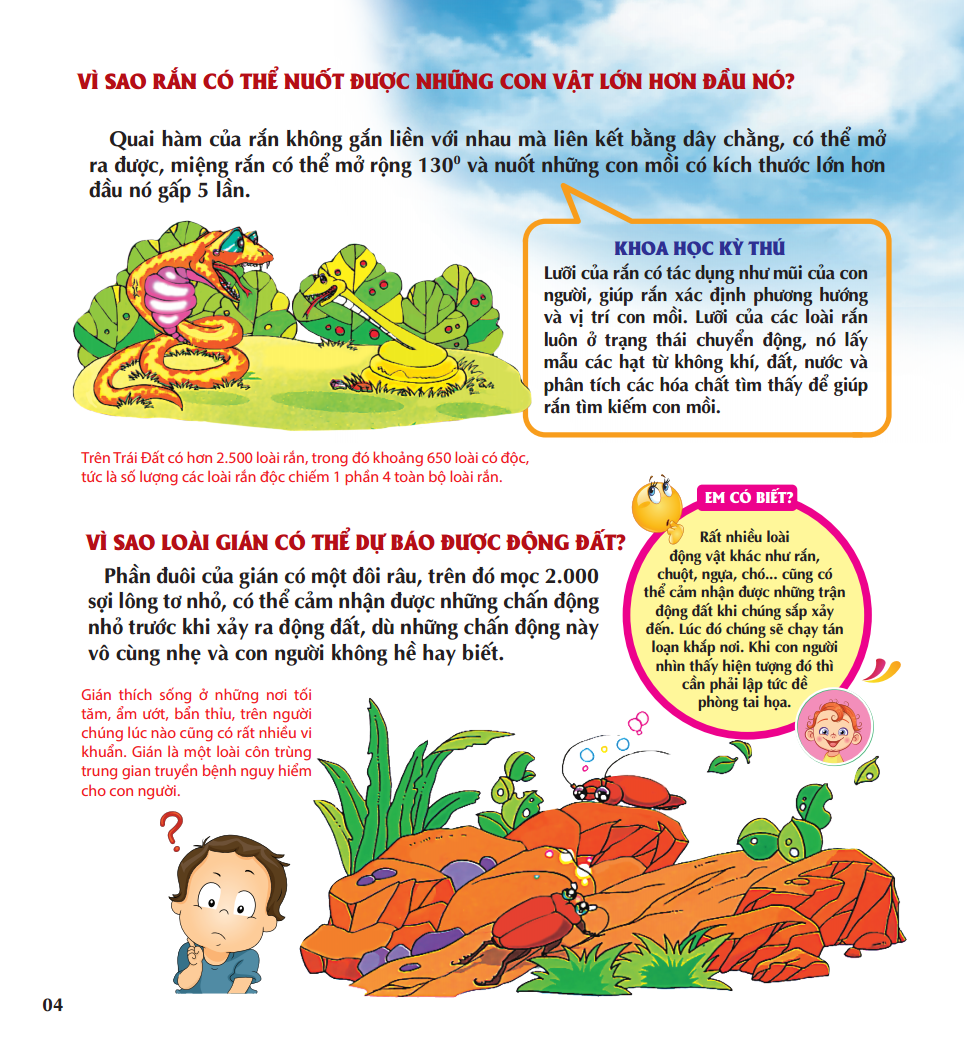 vì sao chim lại làm tổ - Ảnh 7