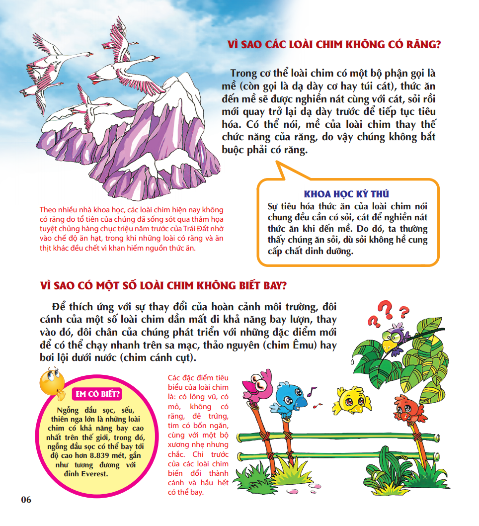 vì sao chim lại làm tổ - Ảnh 9