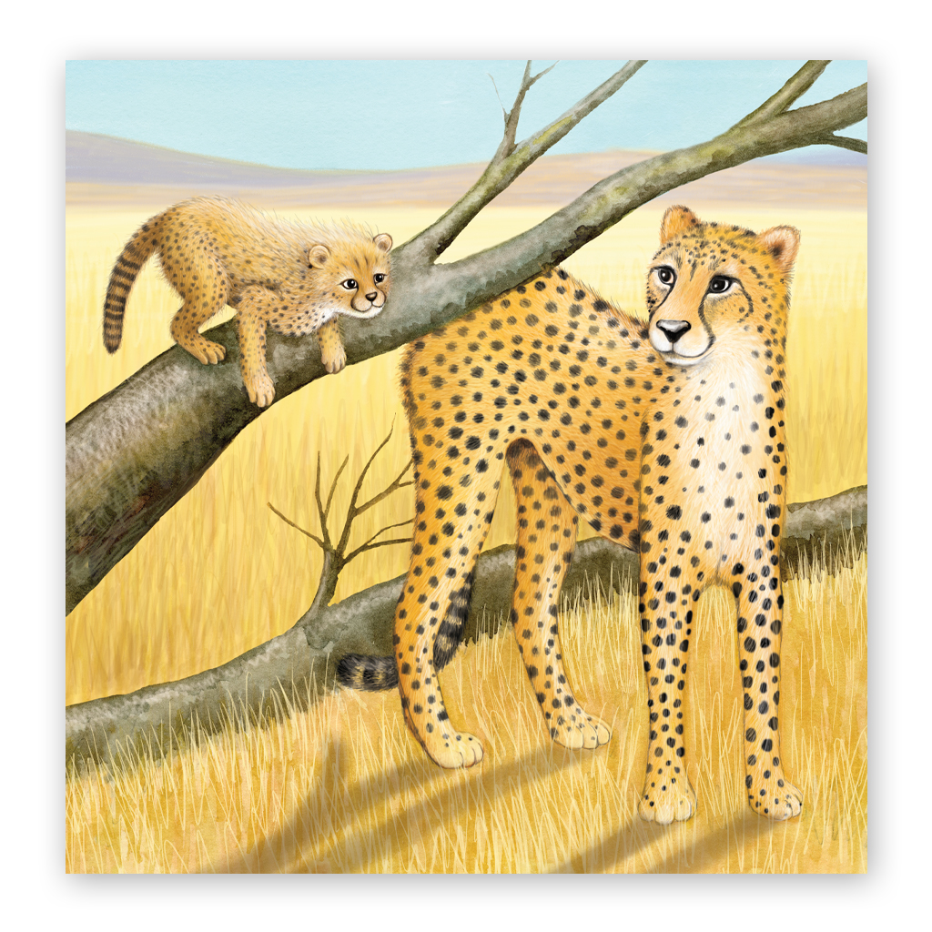 vì sao con trai cần bố - Ảnh 6