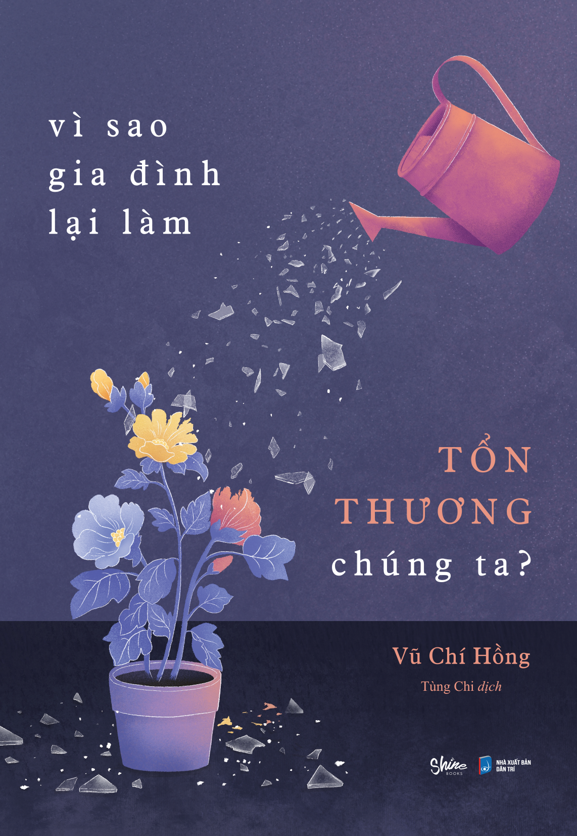 vì sao gia đình lại làm tổn thương chúng ta? - Ảnh 2