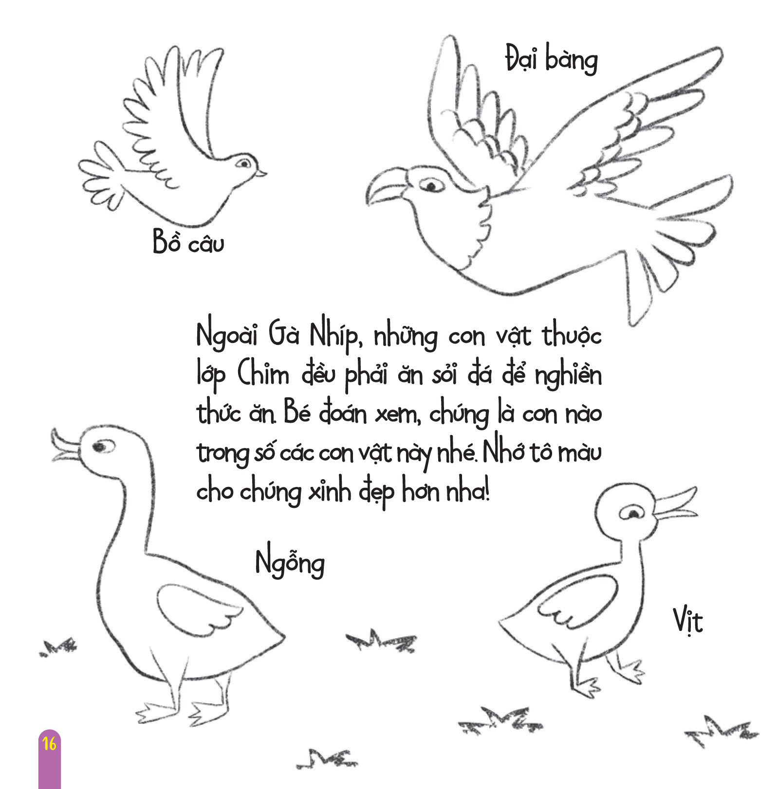 vì sao lại thế? - tập 9 - hàm răng gà nhíp - Ảnh 5