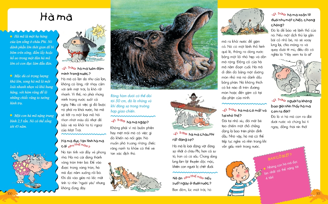 vì sao? như thế nào? động vật (tái bản) - Ảnh 4