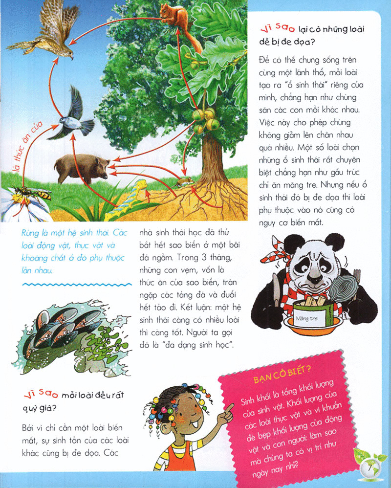 vì sao? như thế nào? - sinh thái (tái bản 2017) - Ảnh 5