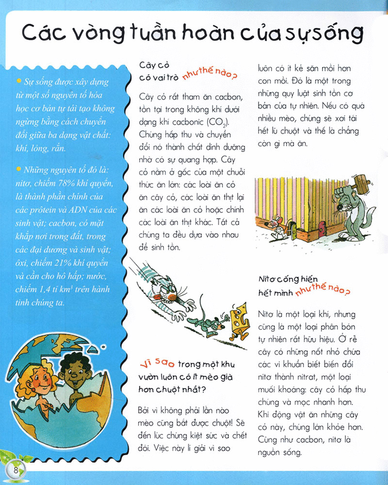 vì sao? như thế nào? - sinh thái (tái bản 2017) - Ảnh 6