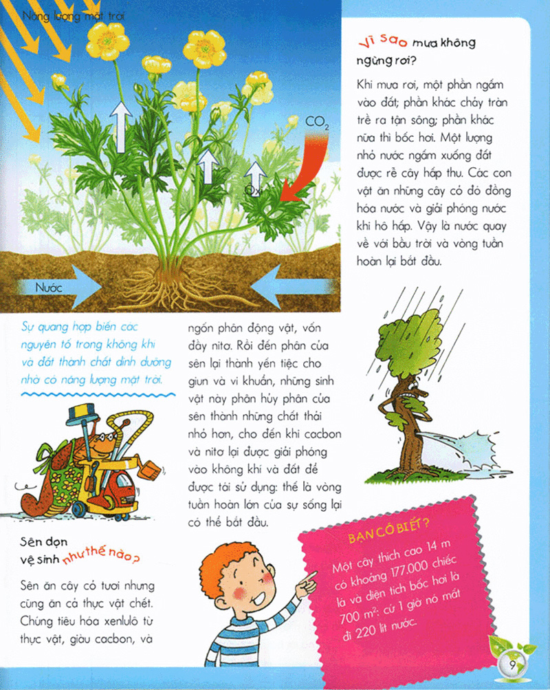 vì sao? như thế nào? - sinh thái (tái bản 2017) - Ảnh 7
