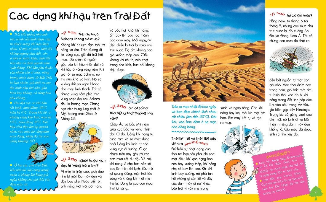 vì sao? như thế nào? thế giới tự nhiên (tái bản) - Ảnh 3