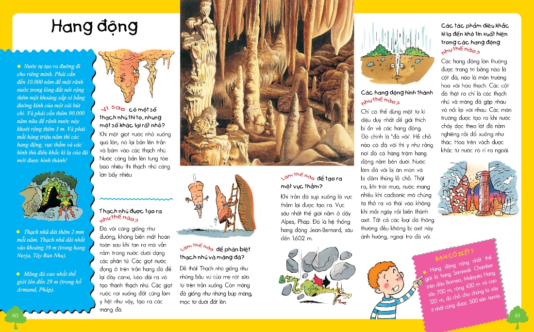 vì sao? như thế nào? thế giới tự nhiên (tái bản) - Ảnh 4