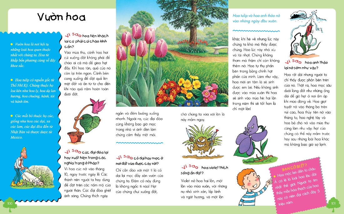 vì sao? như thế nào? thế giới tự nhiên (tái bản) - Ảnh 5