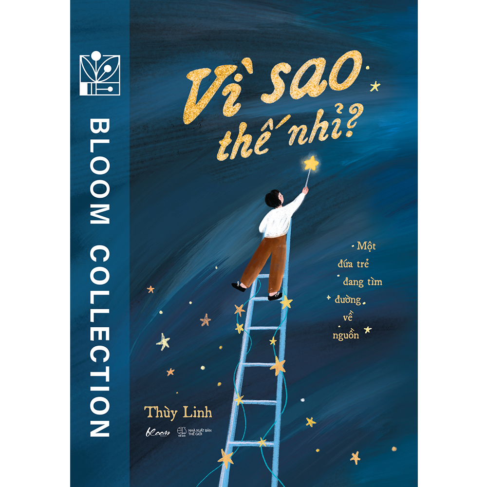 vì sao thế nhỉ? - một đứa trẻ đang tìm đường về nguồn - Ảnh 2