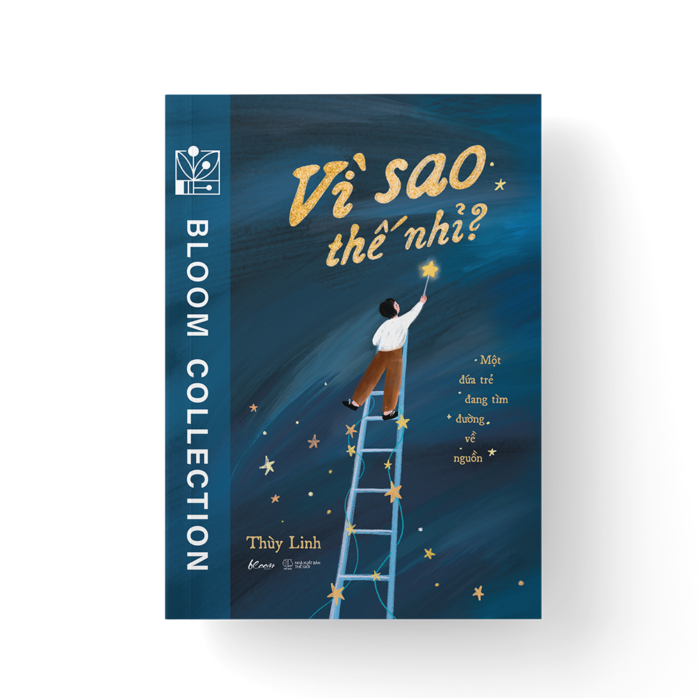 vì sao thế nhỉ? - một đứa trẻ đang tìm đường về nguồn - Ảnh 4