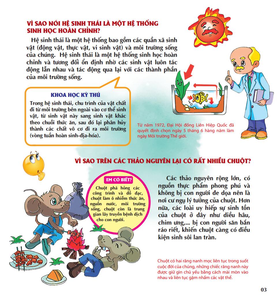 vì sao trái đất ngày một nóng hơn - Ảnh 5