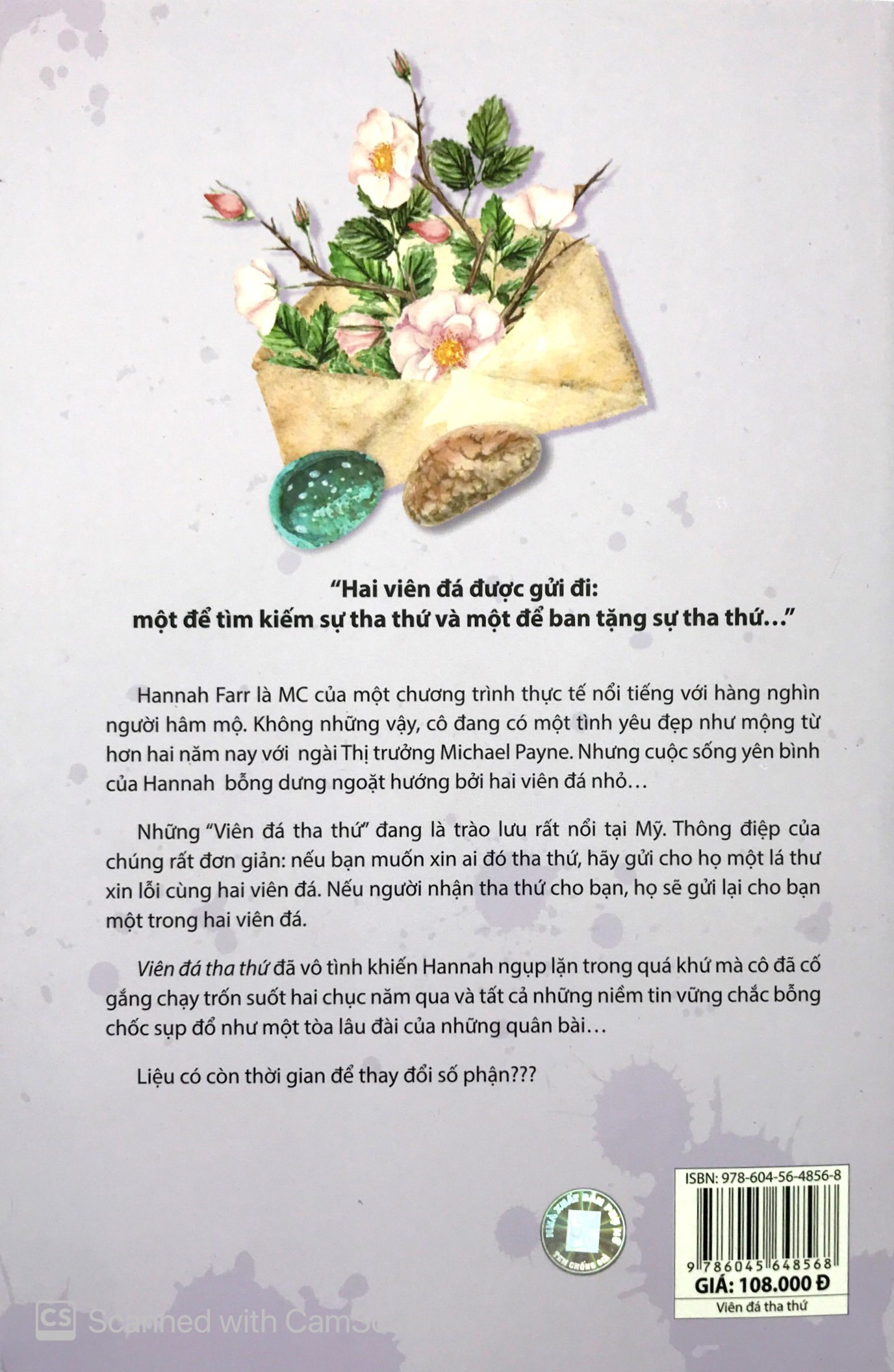 viên đá tha thứ - Ảnh 11