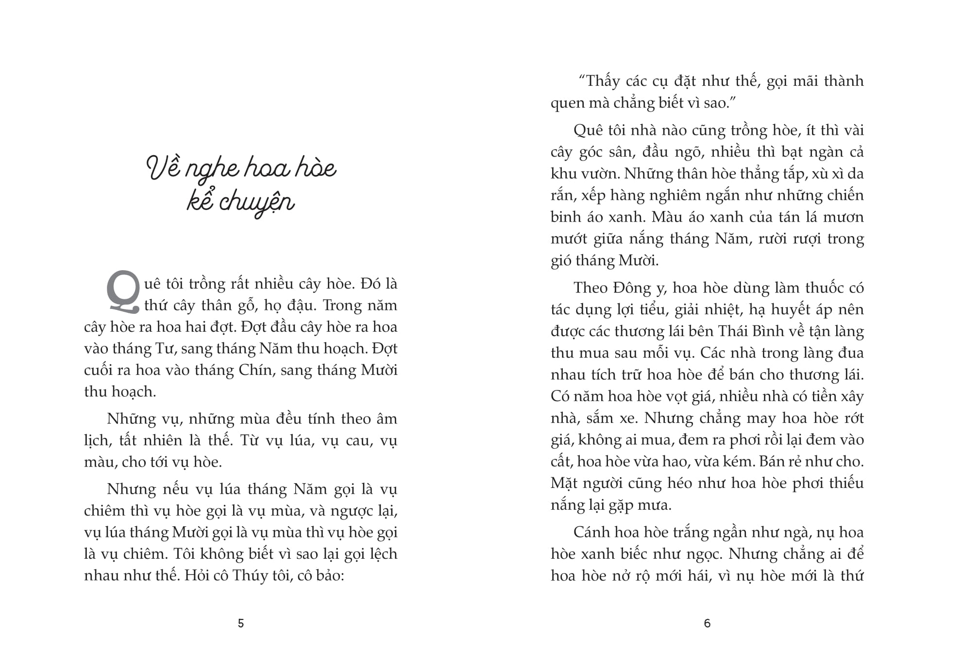 Viết Cho Những Điều Bé Nhỏ - Về Nghe Hoa Hòe Kể Chuyện - Ảnh 3