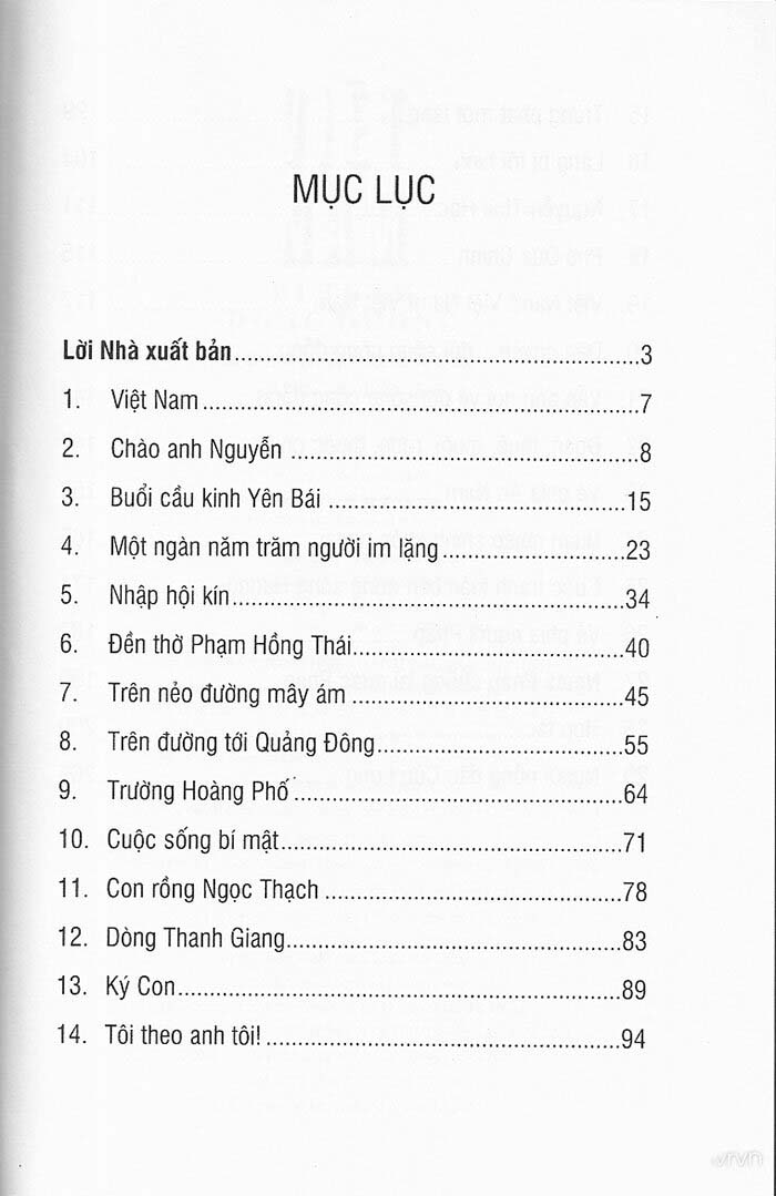 việt nam bi thảm đông dương - Ảnh 2