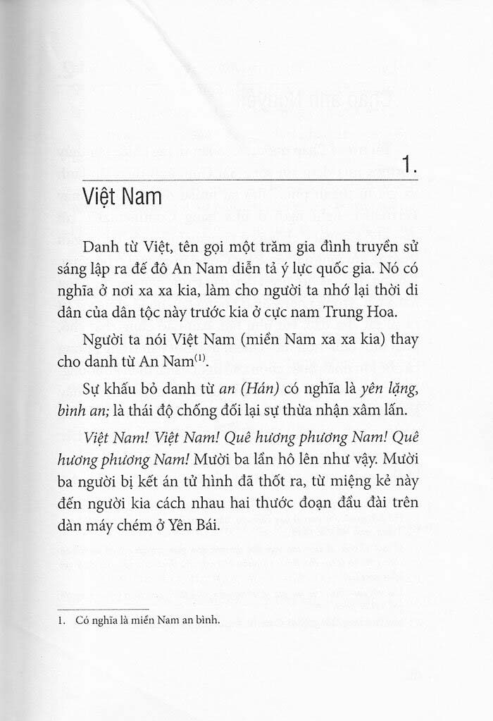 việt nam bi thảm đông dương - Ảnh 4