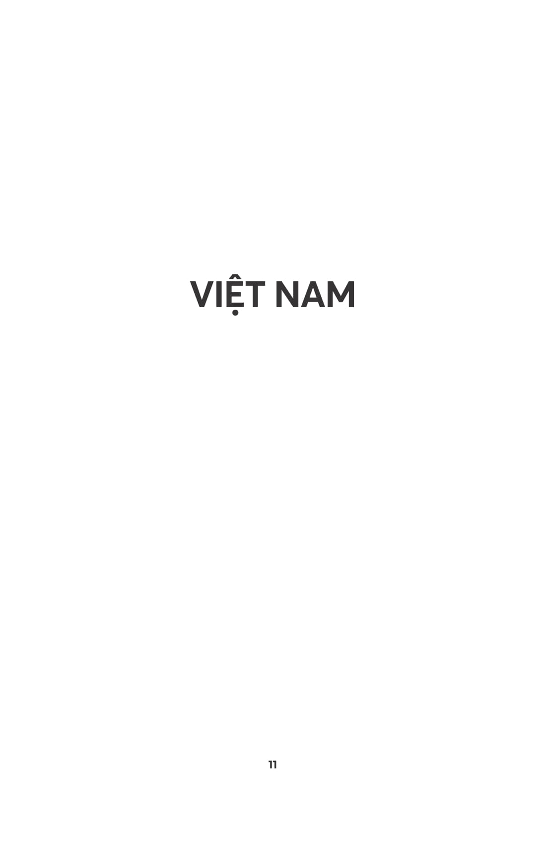 việt nam - lịch sử không biên giới - Ảnh 9
