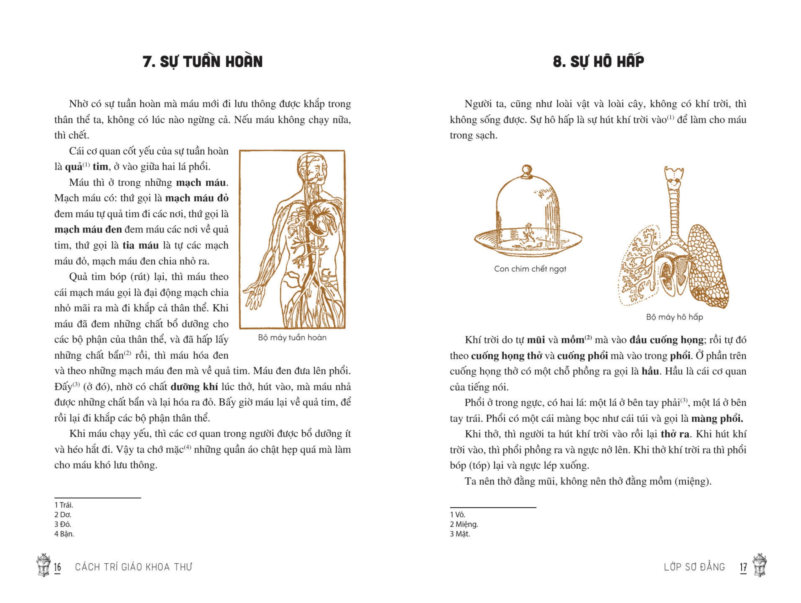 Việt Nam Tiểu Học Tùng Thư - Cách Trí Giáo Khoa Thư (Tái Bản 2025) - Ảnh 16