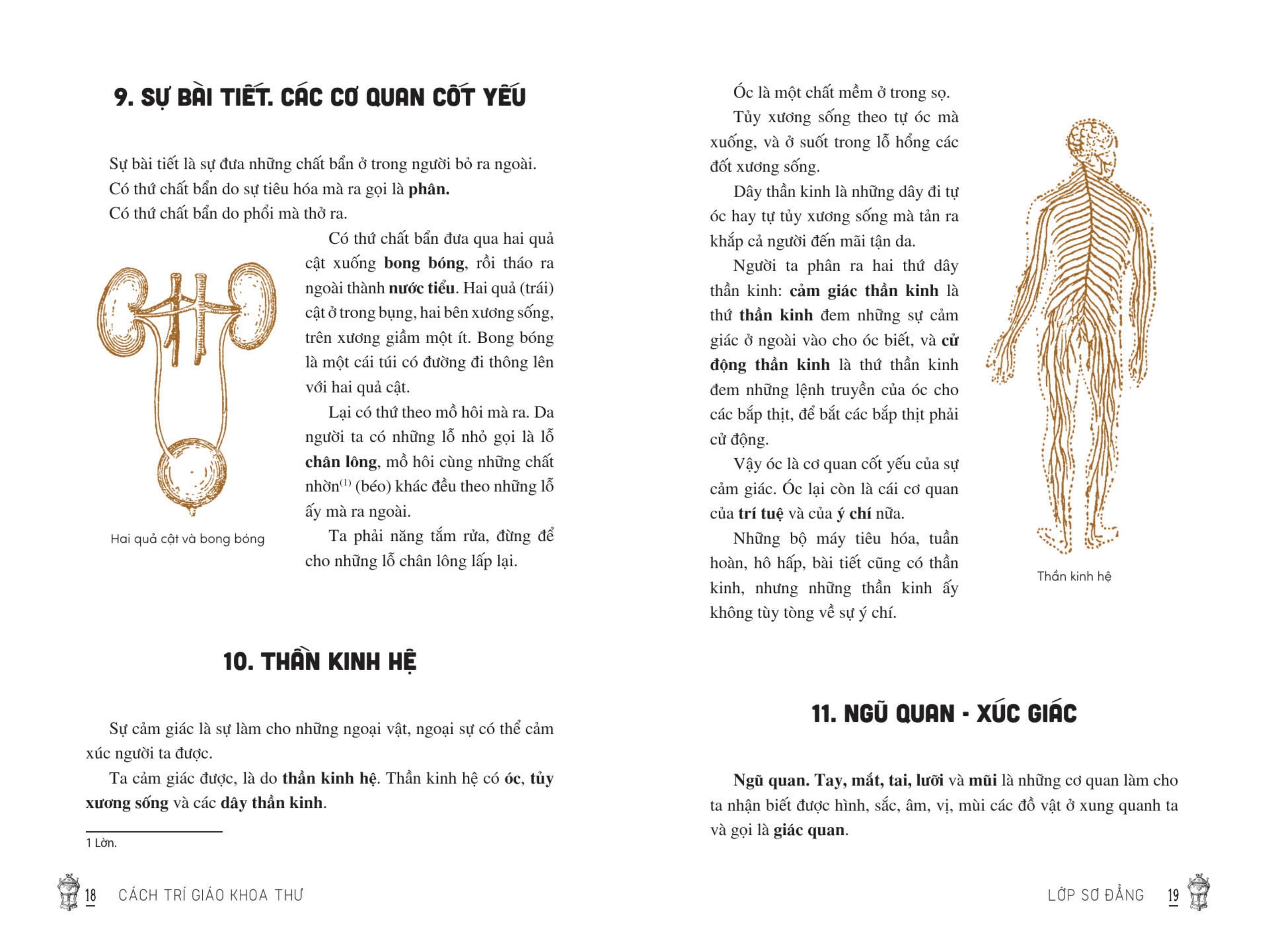 Việt Nam Tiểu Học Tùng Thư - Cách Trí Giáo Khoa Thư (Tái Bản 2025) - Ảnh 17