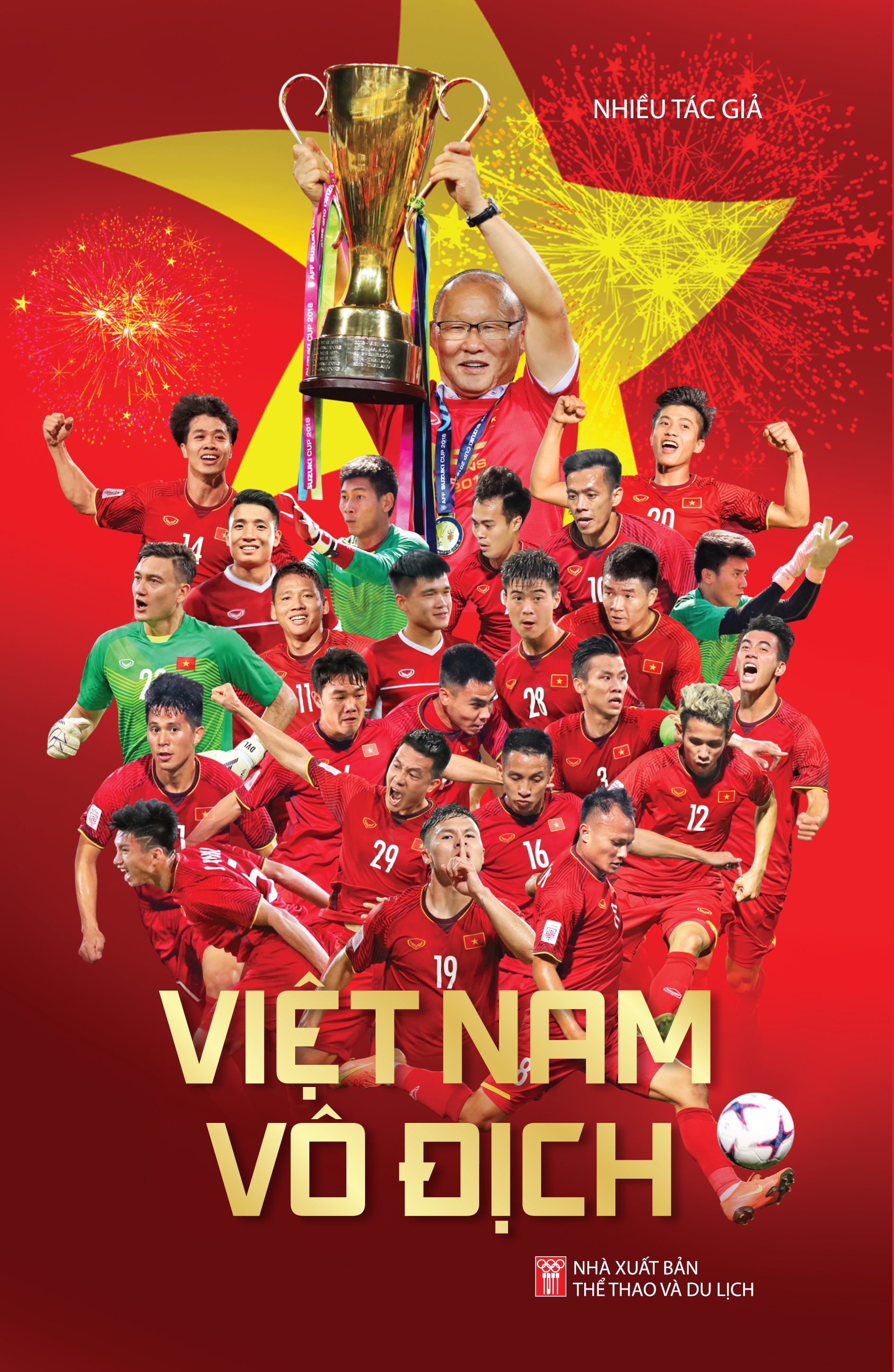 việt nam vô địch - Ảnh 2