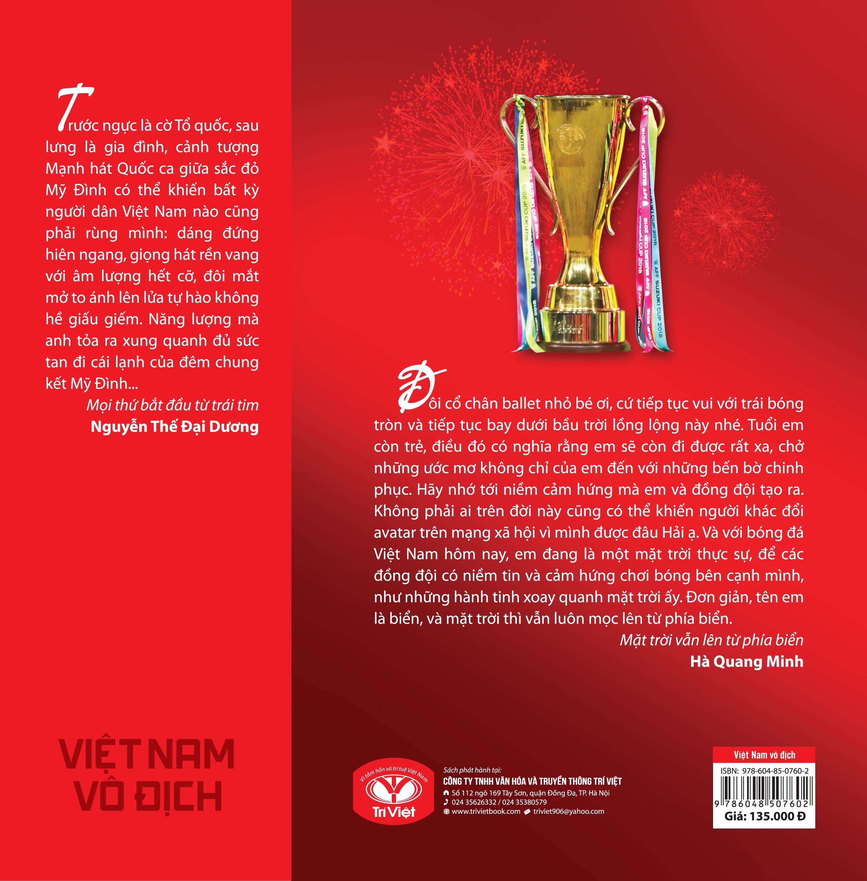 việt nam vô địch - Ảnh 3