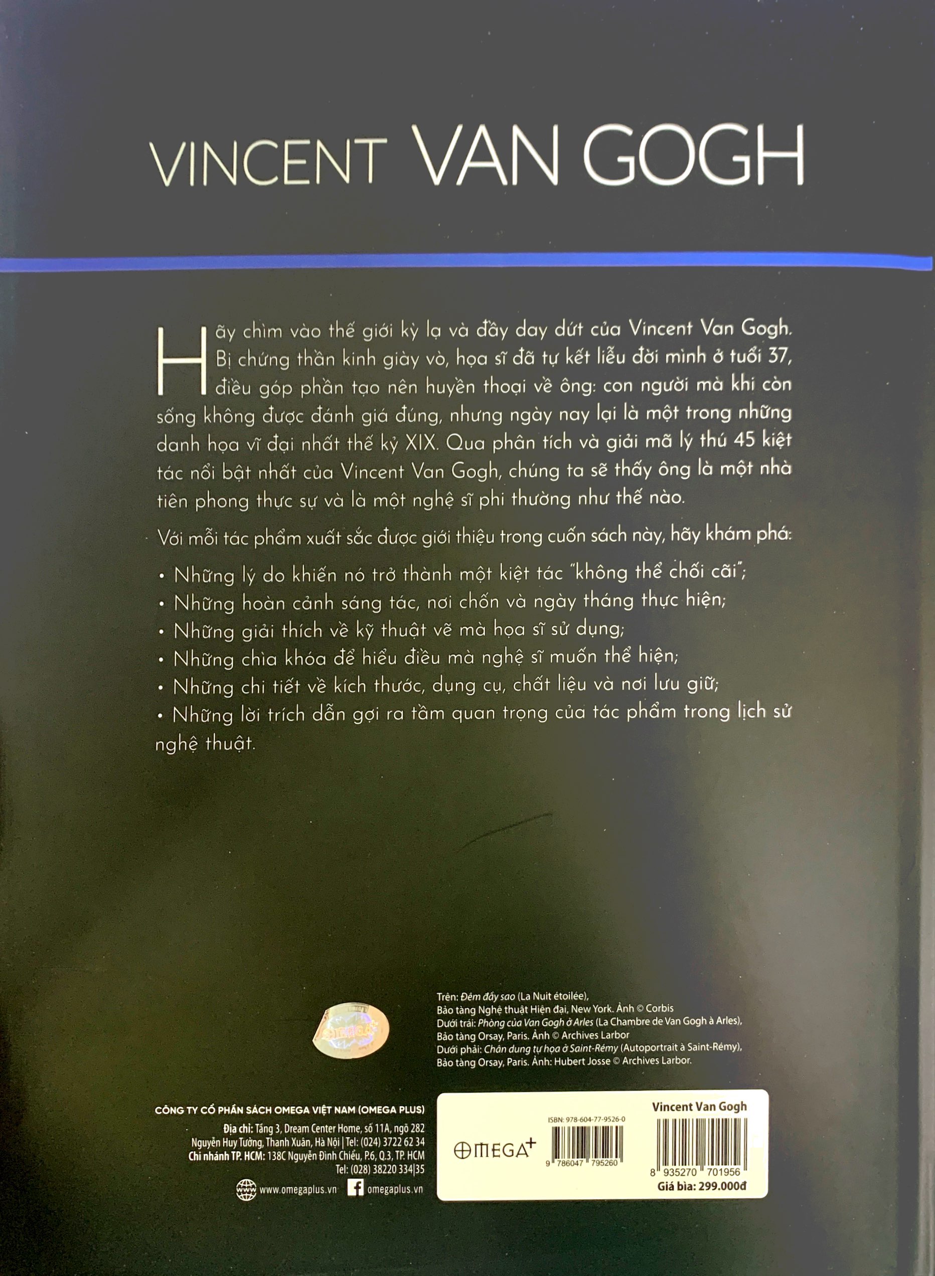 vincent van gogh - Ảnh 7