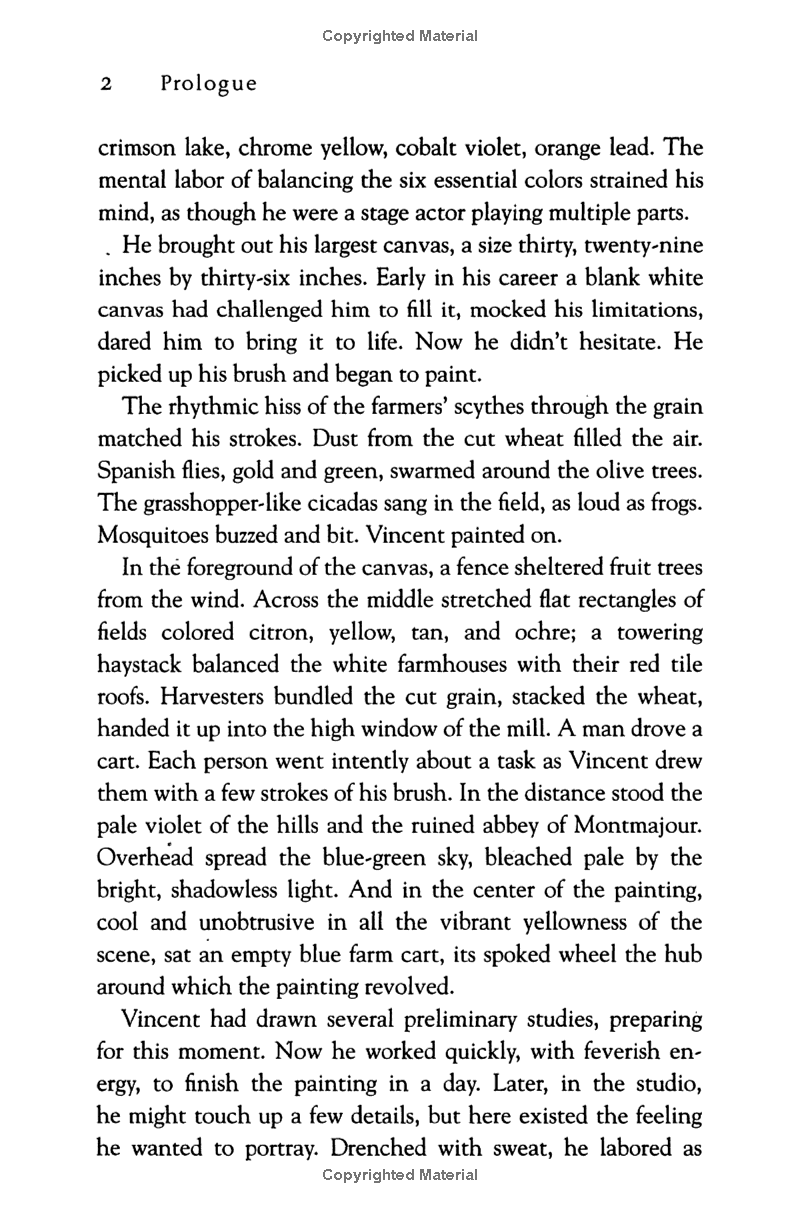 vincent van gogh - portrait of an artist - Ảnh 12