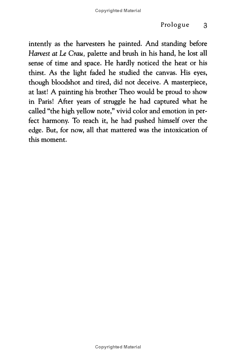 vincent van gogh - portrait of an artist - Ảnh 13
