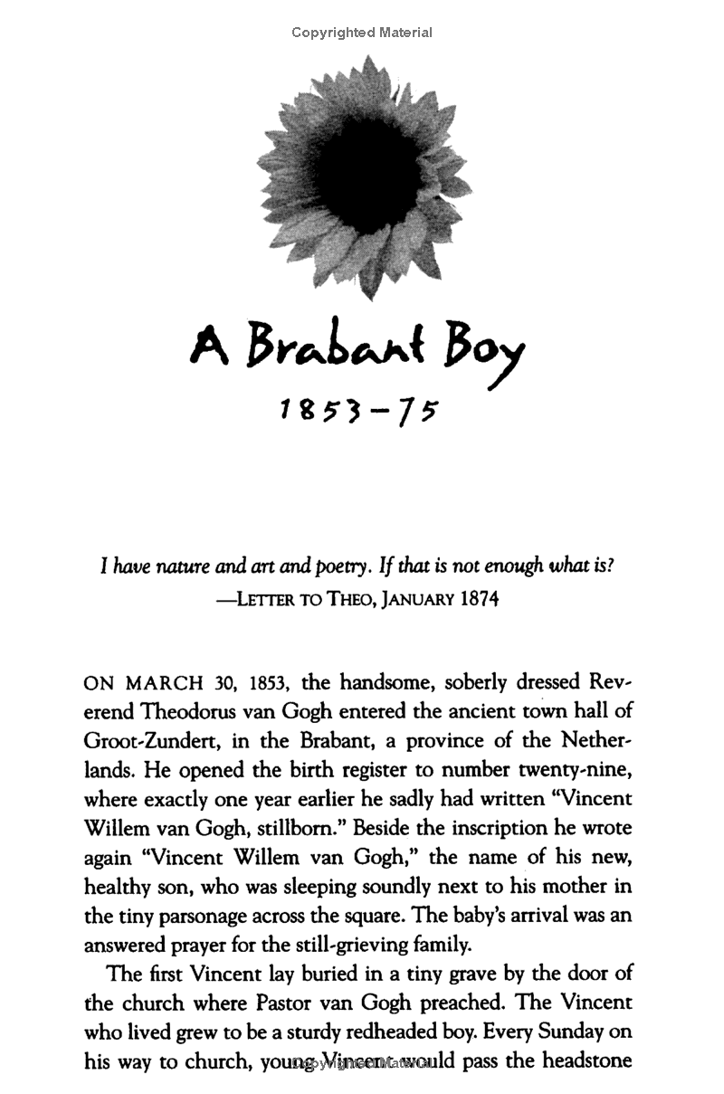 vincent van gogh - portrait of an artist - Ảnh 14
