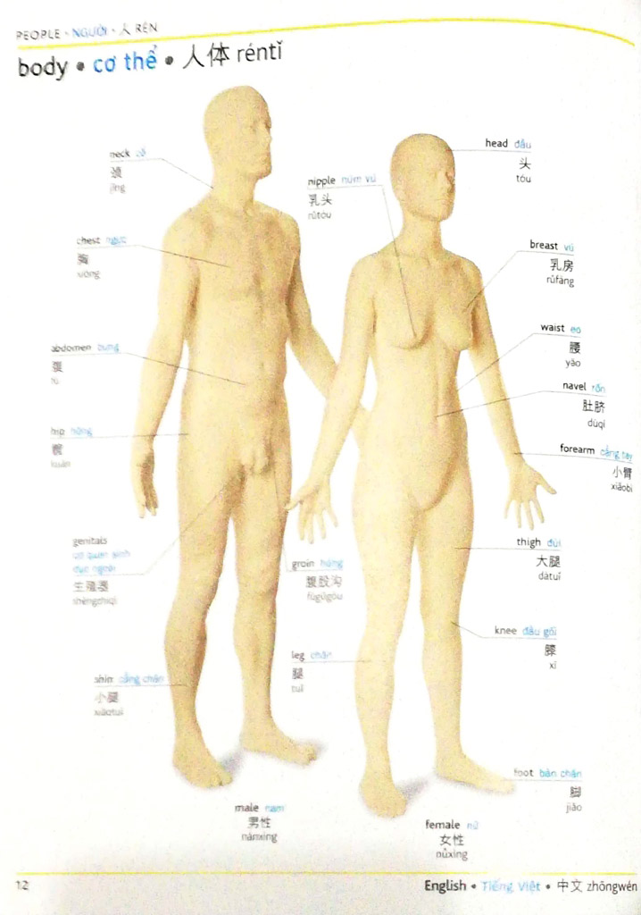 visual english vietnamese chinese trillingual dictinonary - Ảnh 3