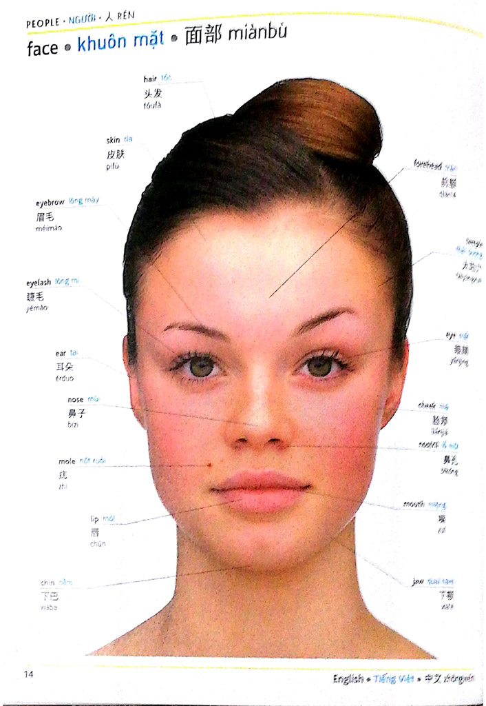 visual english vietnamese chinese trillingual dictinonary - Ảnh 5