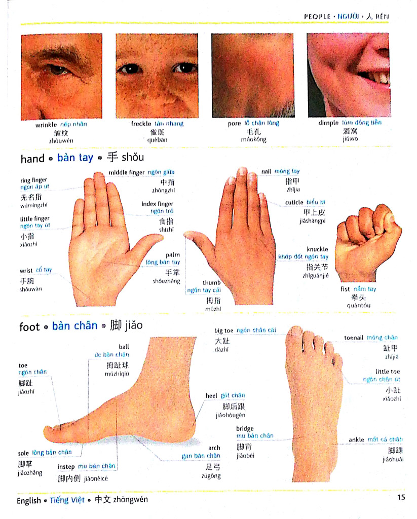 visual english vietnamese chinese trillingual dictinonary - Ảnh 6