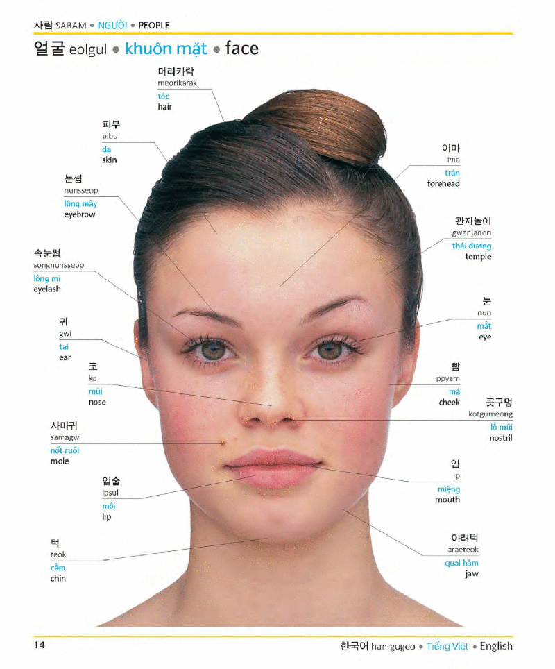 visual korean vietnamese english trilingual dictionary - Ảnh 13