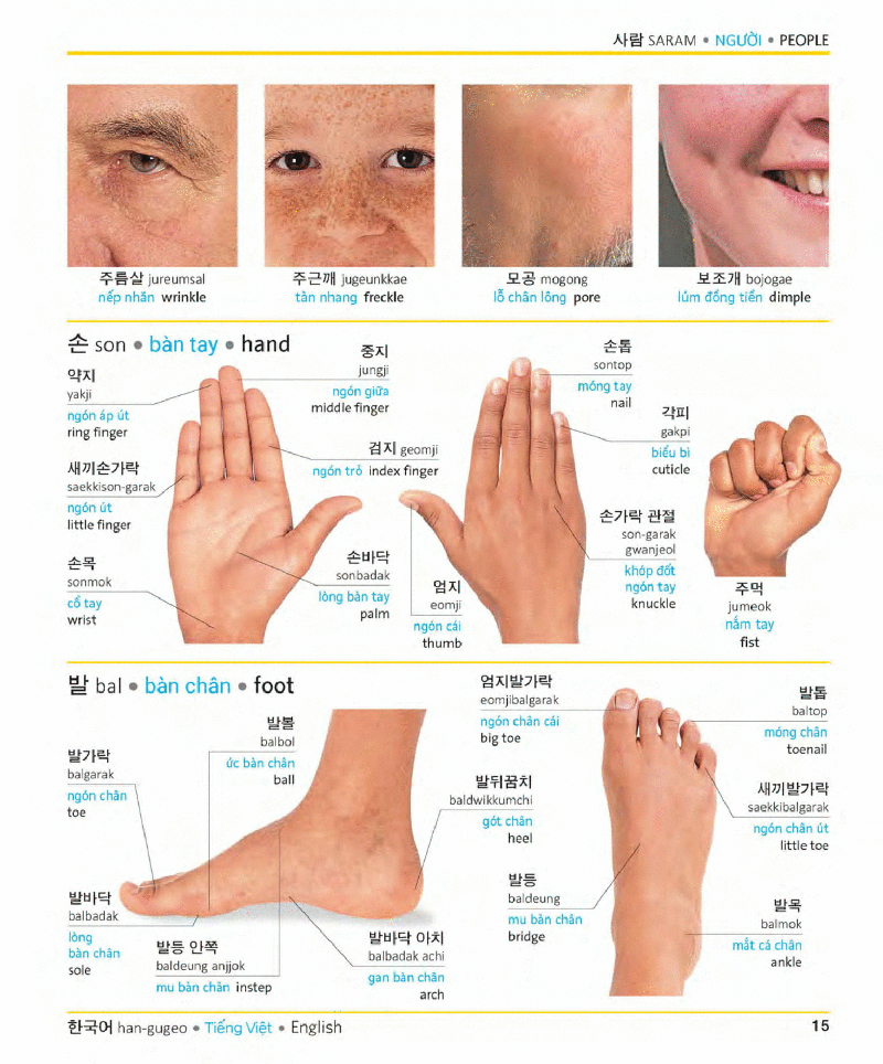 visual korean vietnamese english trilingual dictionary - Ảnh 14