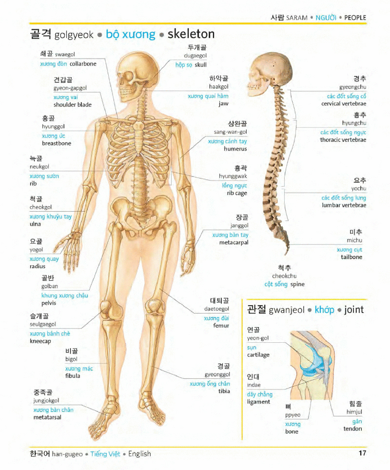 visual korean vietnamese english trilingual dictionary - Ảnh 16