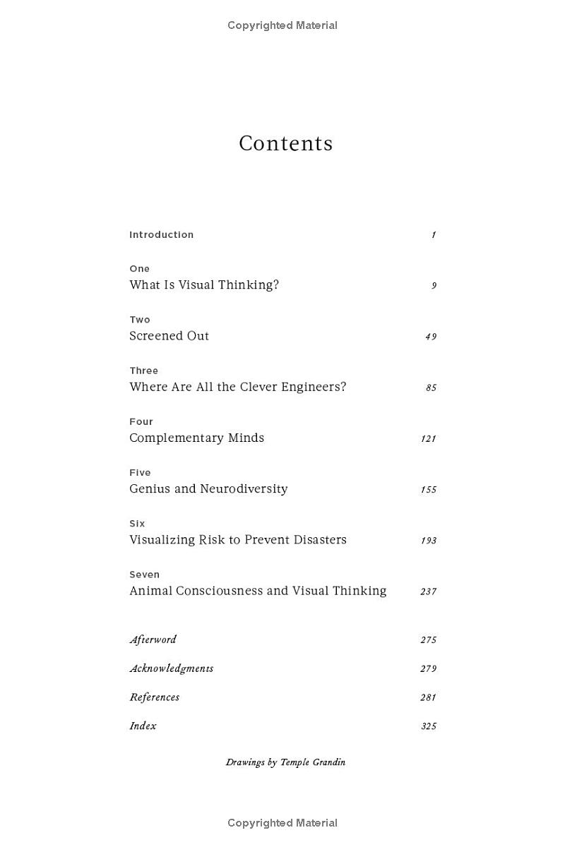 visual thinking - Ảnh 3