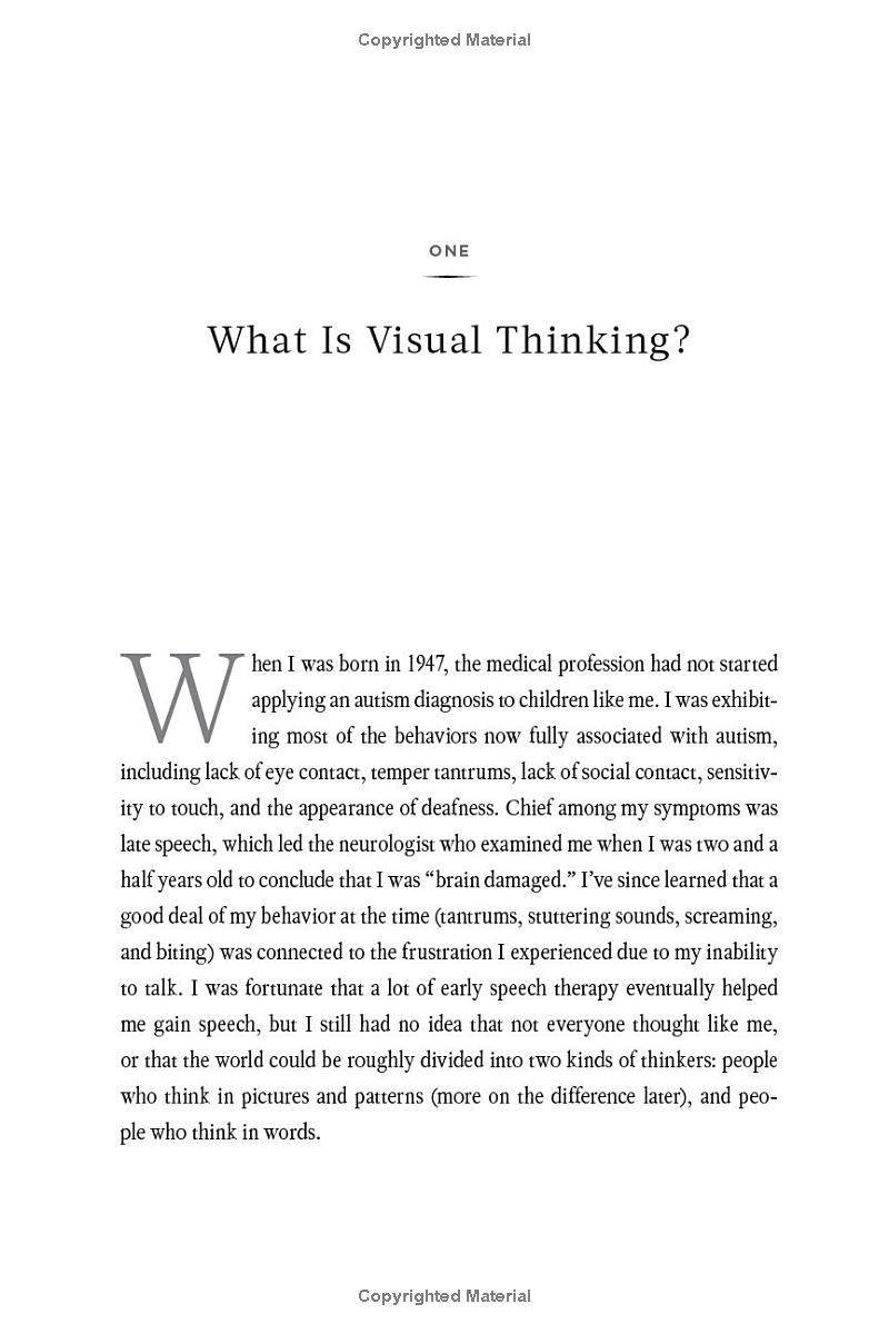 visual thinking - Ảnh 4