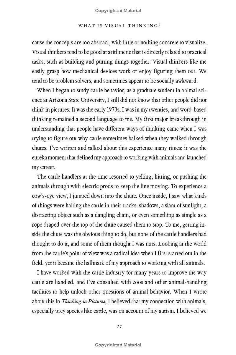 visual thinking - Ảnh 6