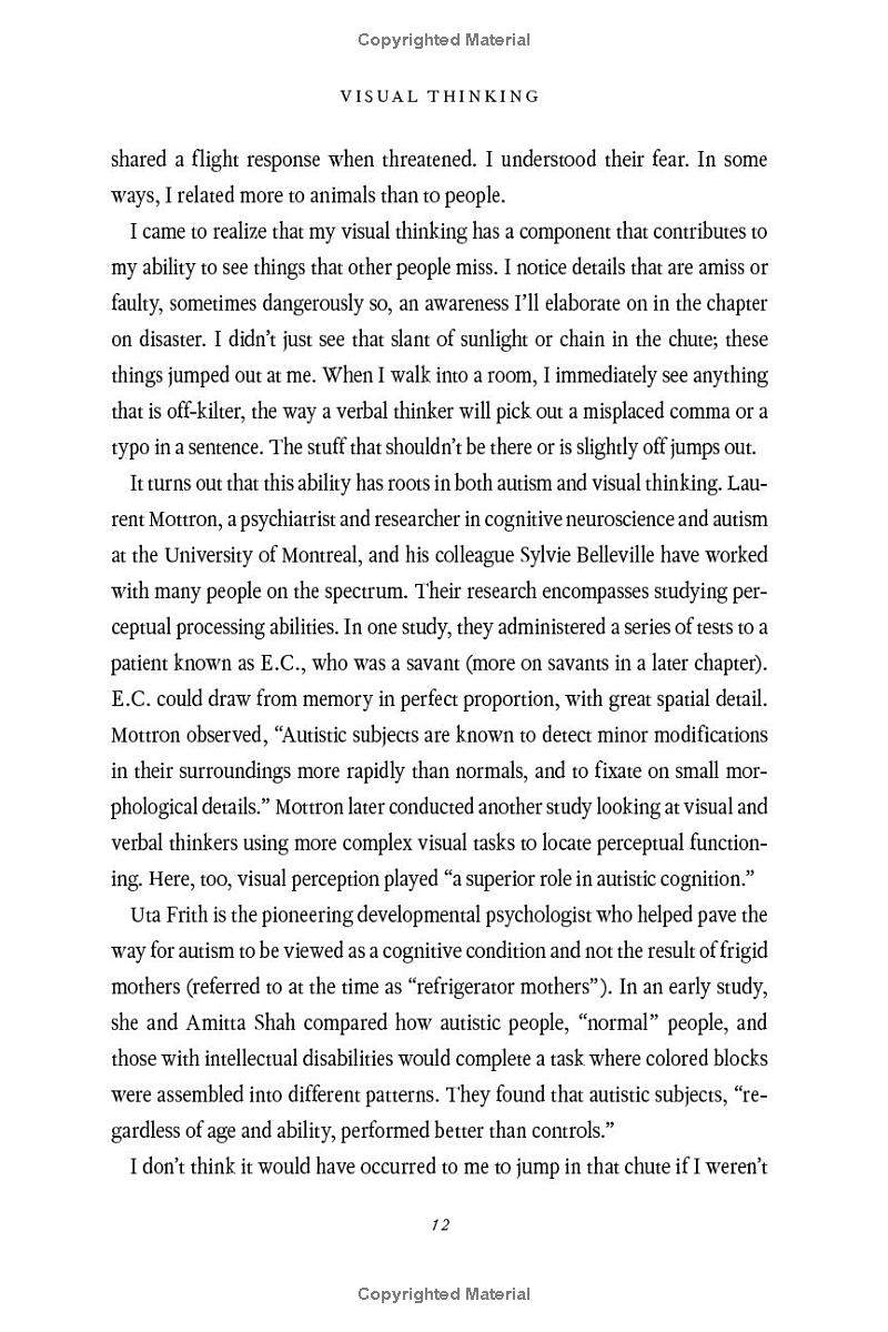 visual thinking - Ảnh 7