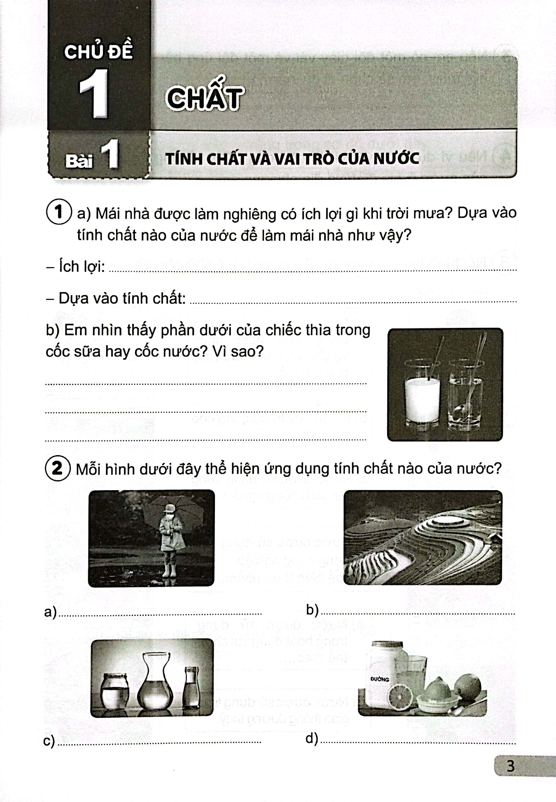 vở bài tập khoa học 4 (cánh diều) (chuẩn) - Ảnh 5