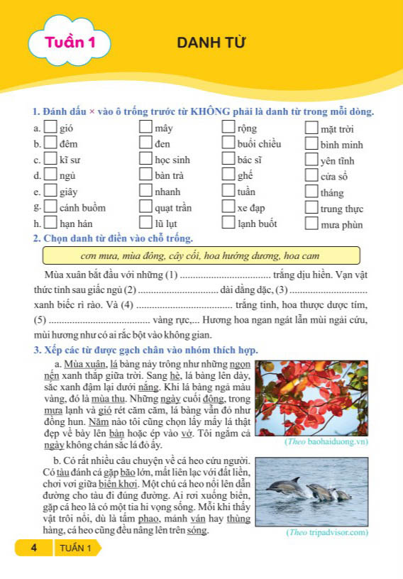 vở bài tập nâng cao từ và câu 4 (kết nối) - Ảnh 4