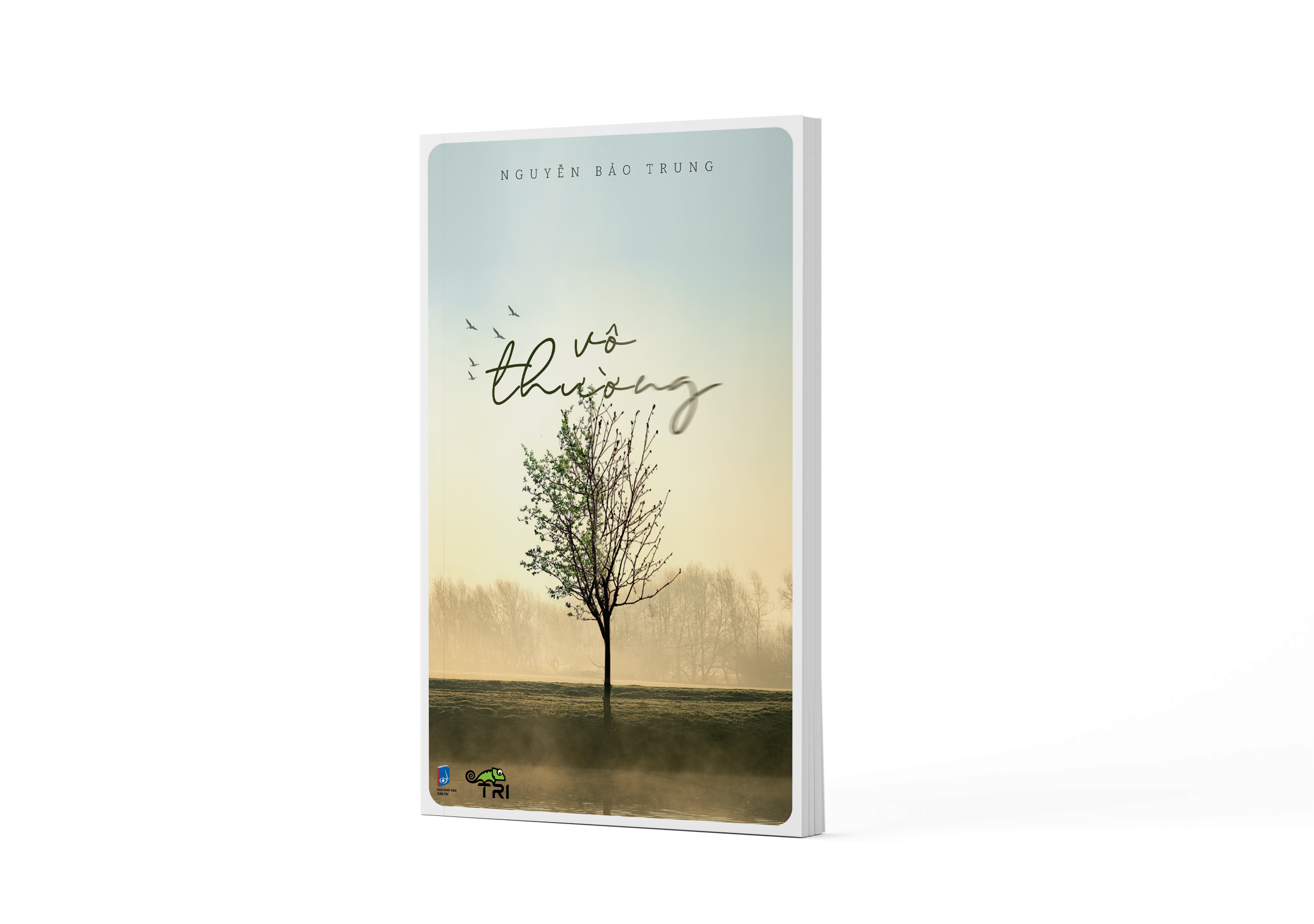 vô thường (tái bản) - Ảnh 4
