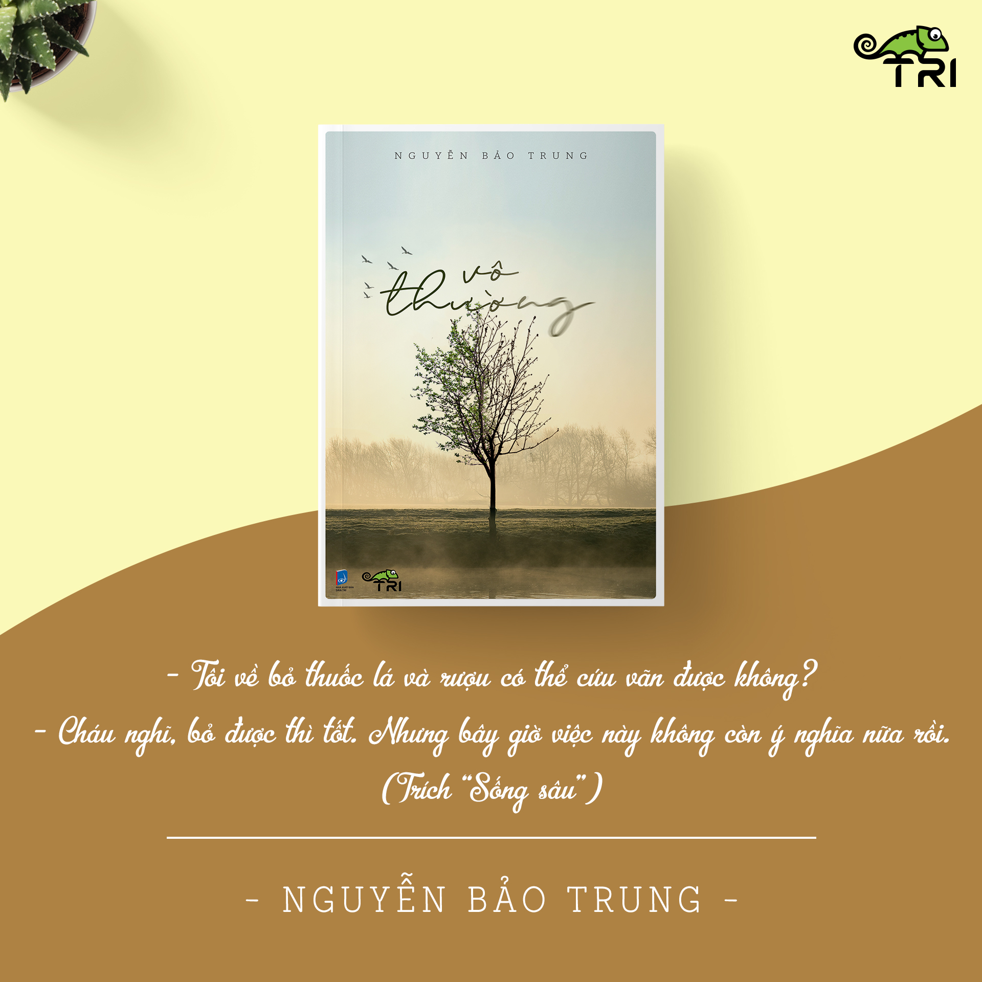 vô thường (tái bản) - Ảnh 6