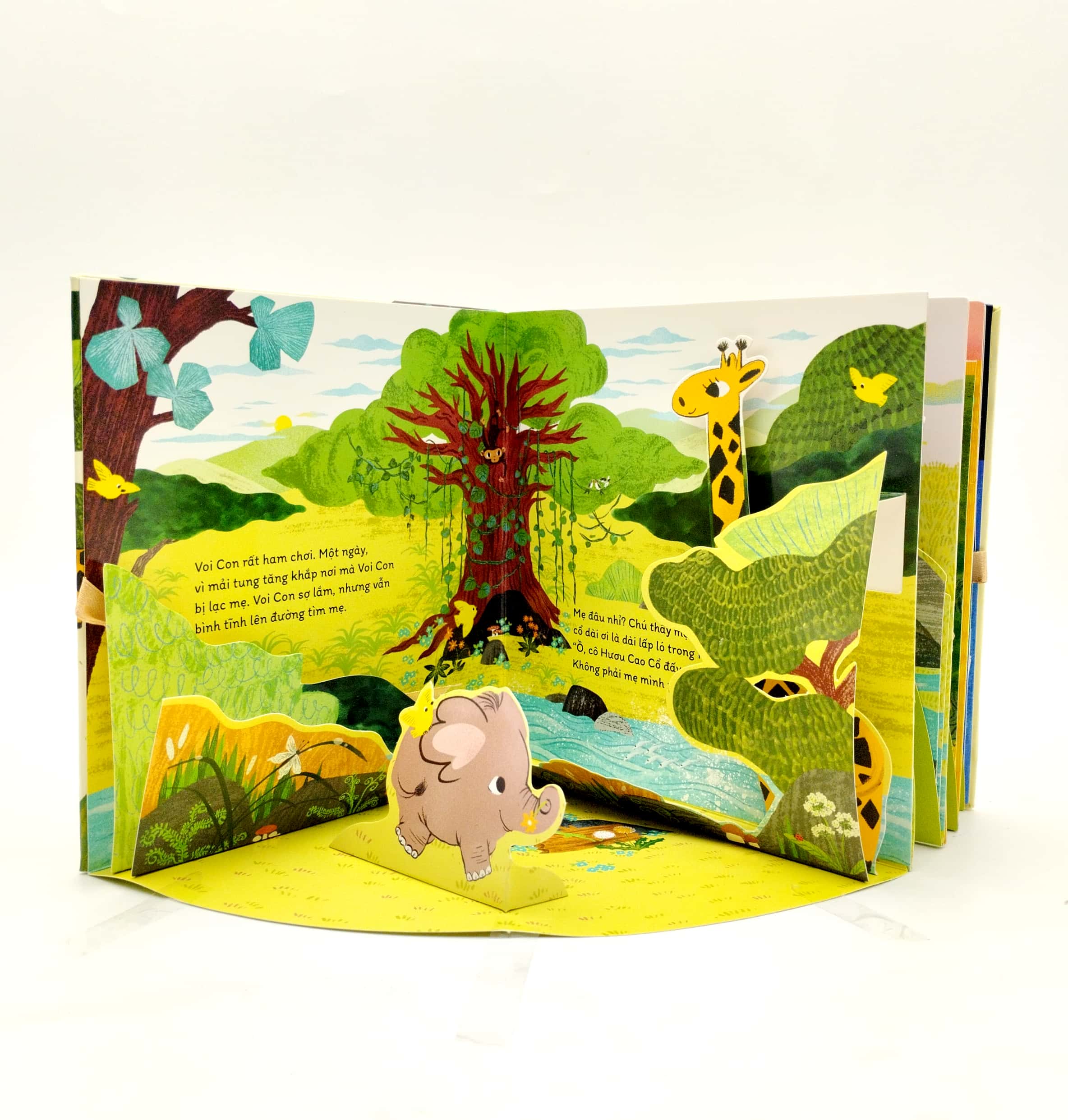 voi con tìm mẹ - Ảnh 3