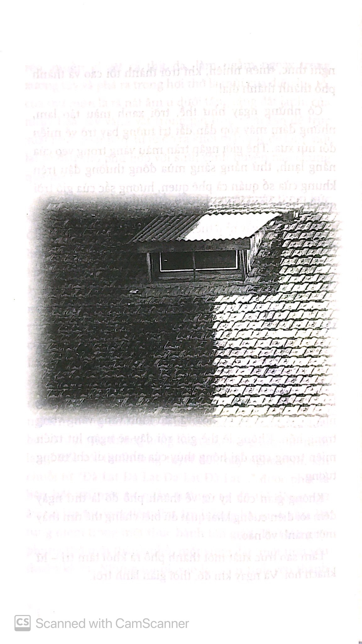 với đà lạt ai cũng là lữ khách (tái bản 2024) - Ảnh 7