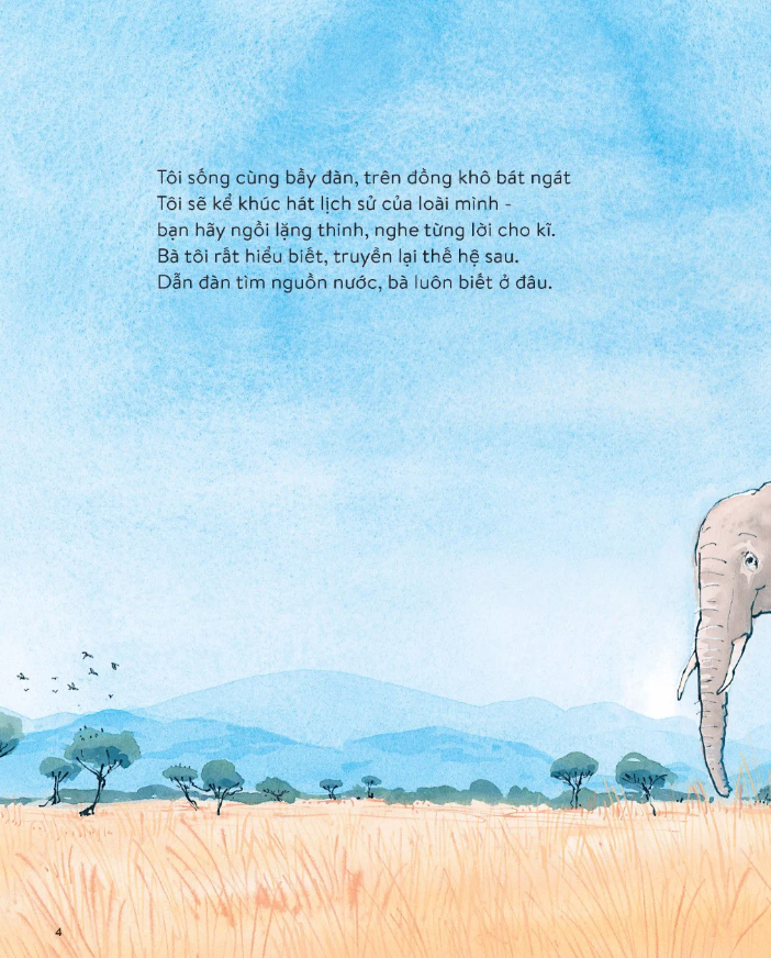 voi đã nghe thấy gì - Ảnh 3