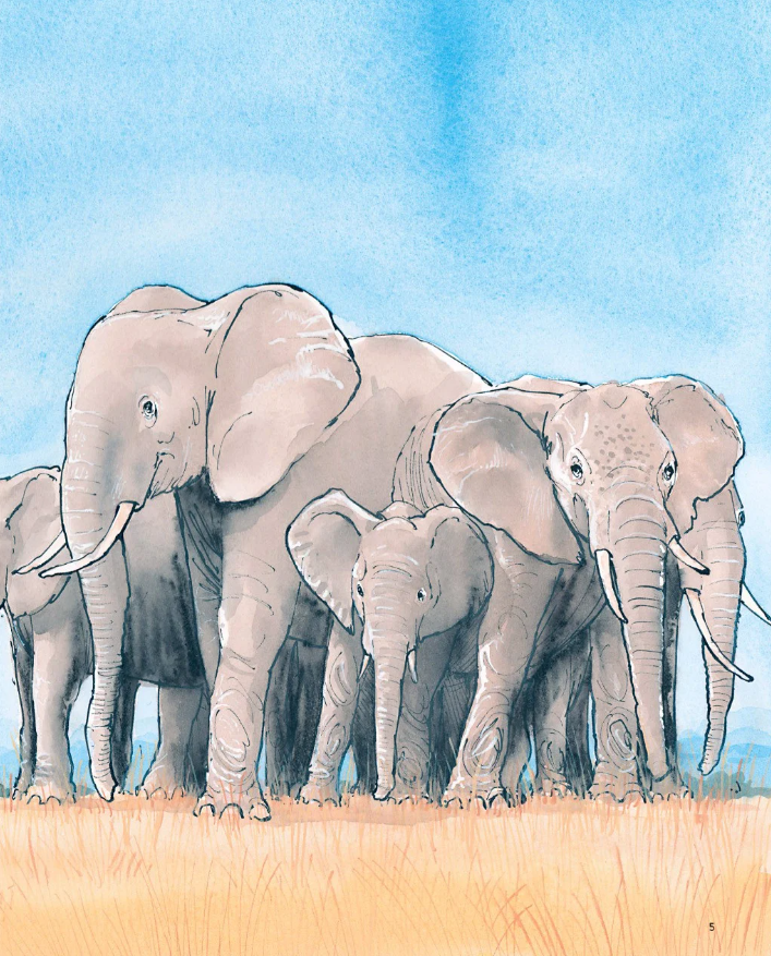 voi đã nghe thấy gì - Ảnh 4