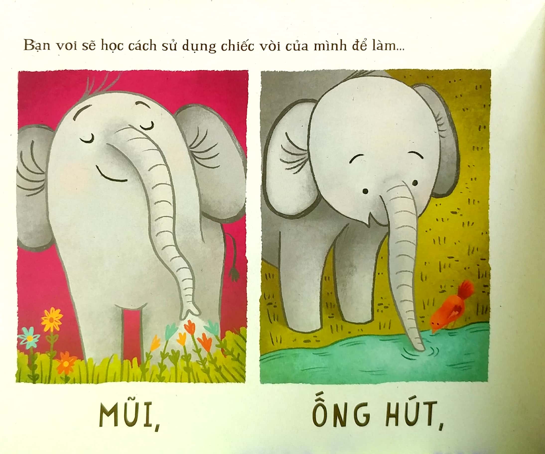 voi học gì ở trường thế nhỉ? - Ảnh 5